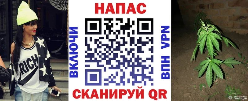 Бошки Шишки THC 21%  Купить где  Каргат 